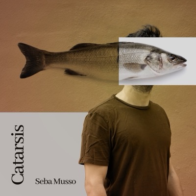 CATARSIS